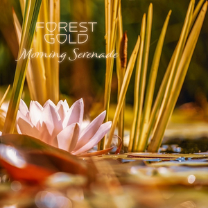 伊斯兰美女毛茸茸屄
