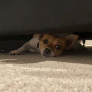 伊斯兰美女毛茸茸屄
