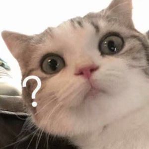 伊斯兰美女毛茸茸屄
